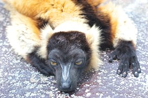 えー？なにかあったの？