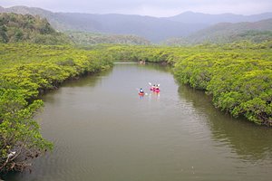 いざ漕ぎゆかん