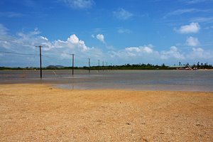 由布島へと続く道