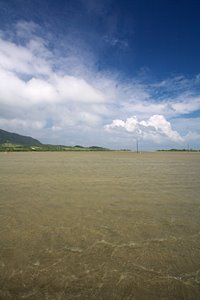 海と共存する道