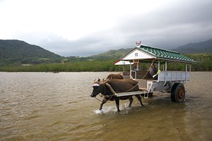おらおらど根性！