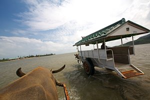 青い地球を踏みしめて