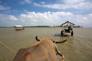 由布島はすぐそこだ