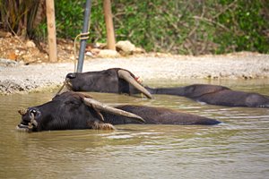 仕事の後の温泉は格別