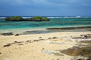 磯のエメラルド