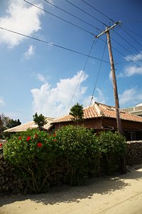 竹富島の庭先で