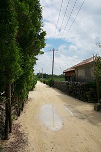 竹富島日情景２