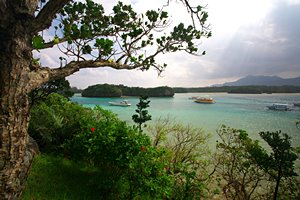 川平湾の丘にて