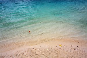 流れ寄る葉ひとつ