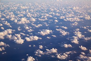 たくさんの羊たち