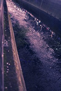 カナル・ギャラクシー