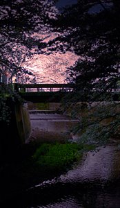 あの世をかいま見る