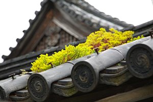 ティアラをかぶった屋根