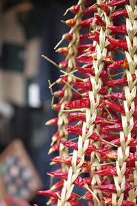 規則正しく吊されて