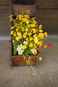 軒先の芸術作品