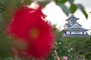 紅と長浜城