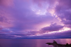 湖東の優しいむらさき