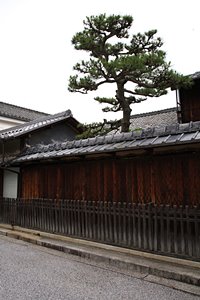 松の木と和風の屋敷