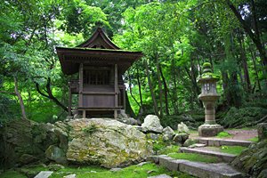 森の中の小さな社